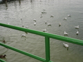 DSC02472.JPG