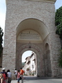 DSC01414-rotated.JPG